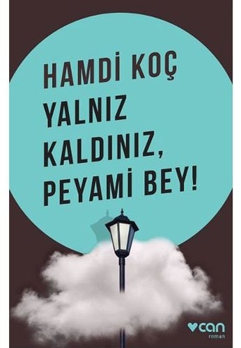 Yalnız kaldınız, Peyami Bey! roman
