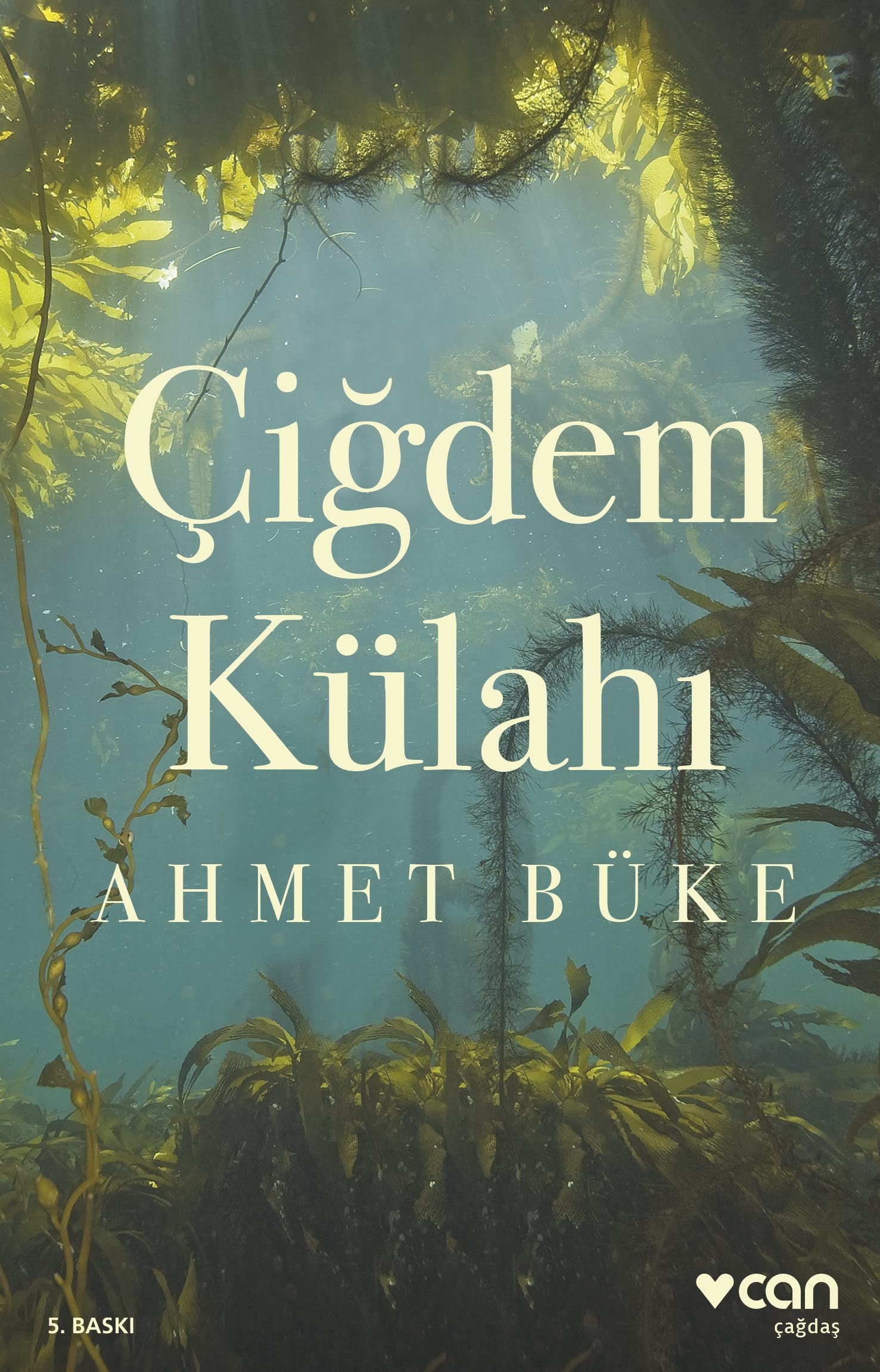 Cigdem Külahi