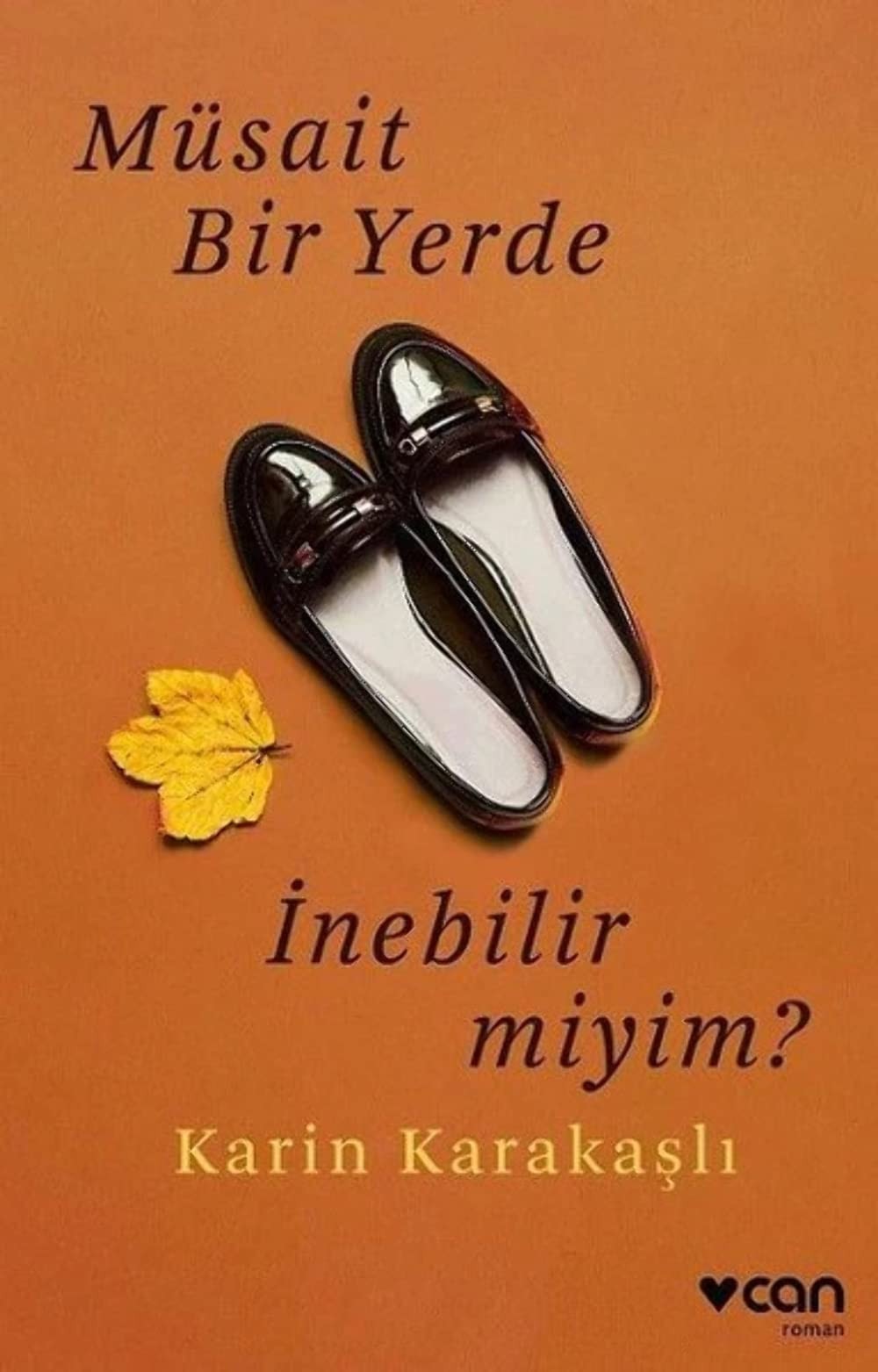 Müsait bir yerde inebilir miyim? roman