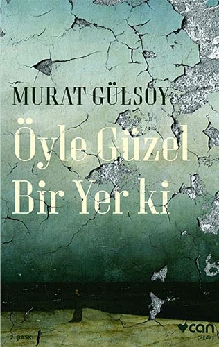 Öyle güzel bir yer ki roman