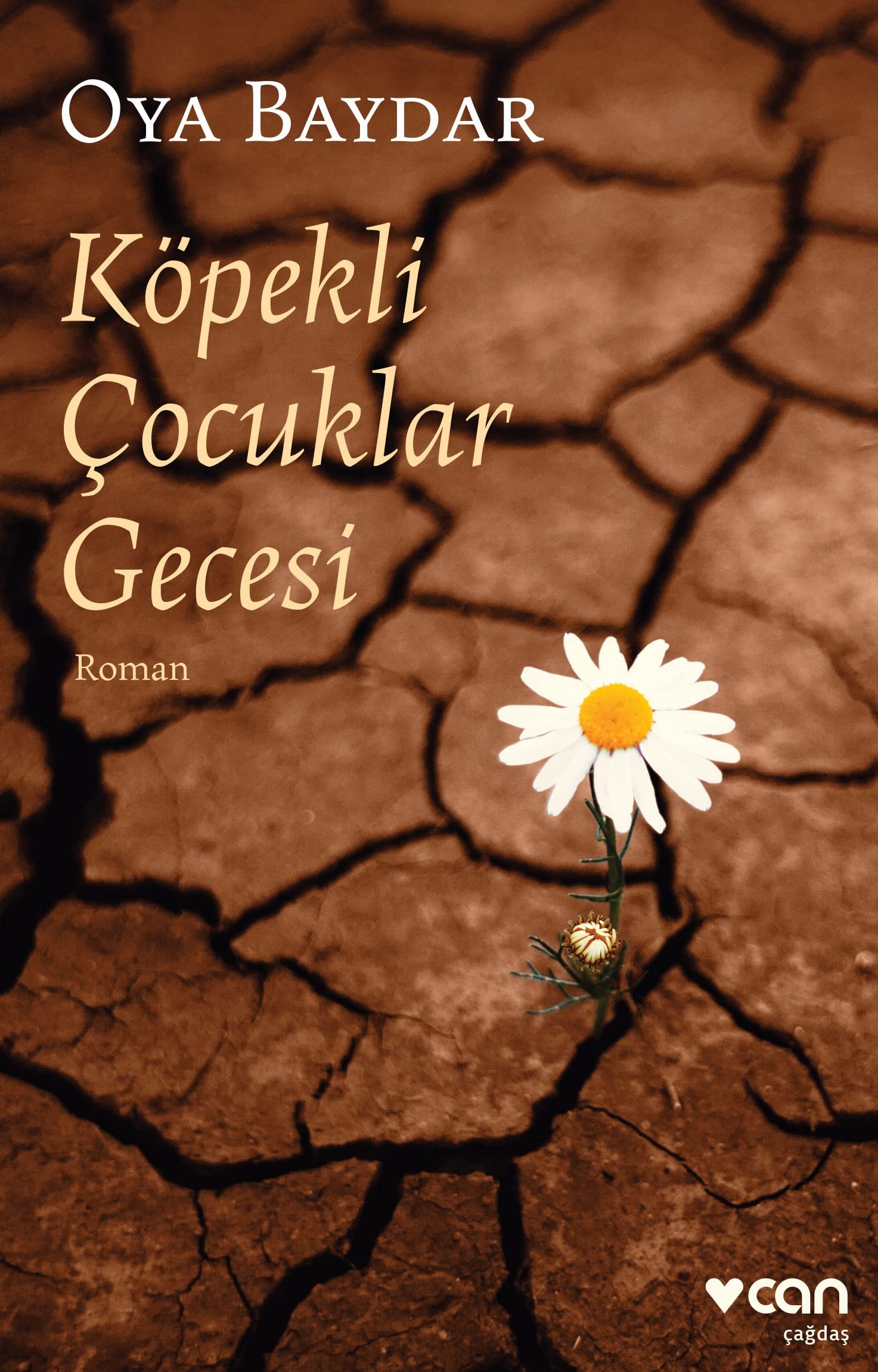 Köpekli çocuklar gecesi roman