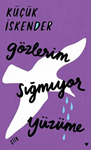 Gözlerim sığmıyor yüzüme şiir