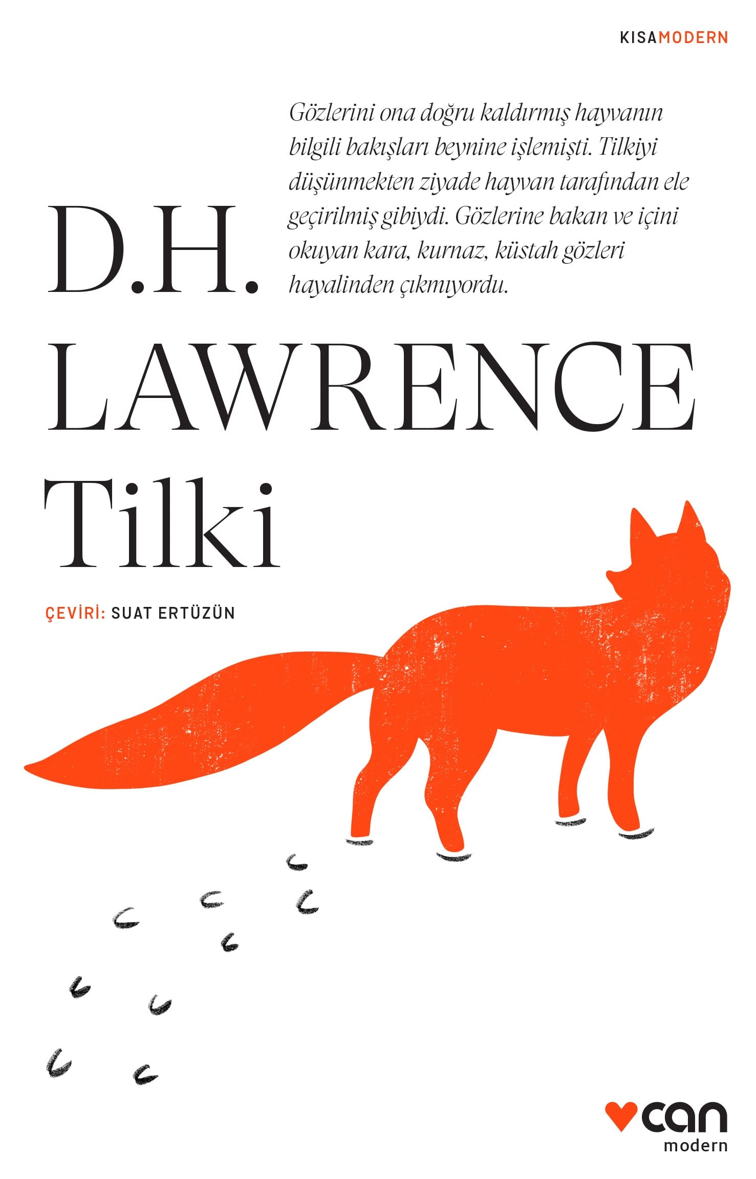 Tilki Kisa Modern