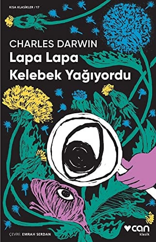 Lapa Lapa Kelebek Yagiyordu Kisa Klasik