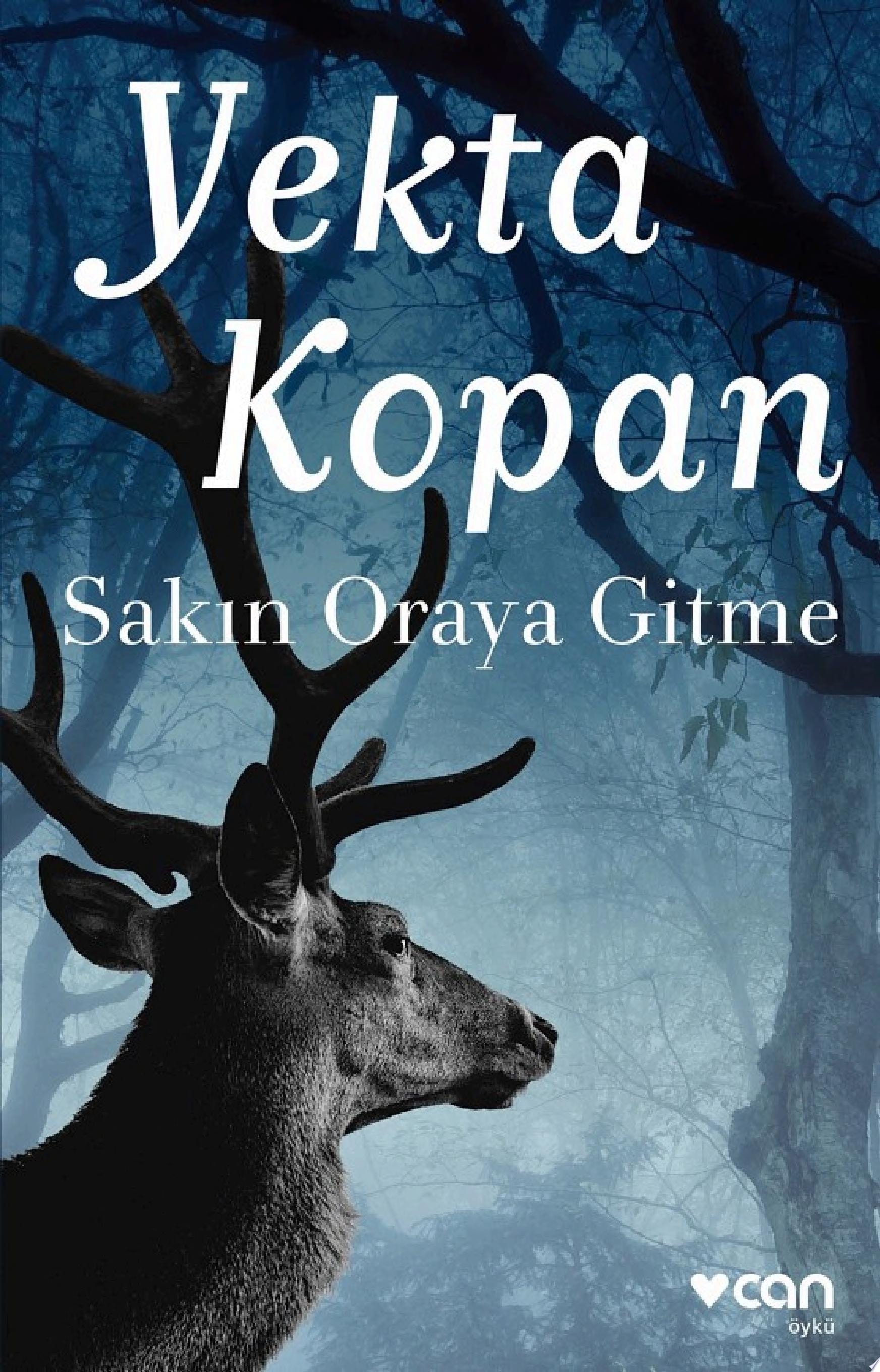 Sakın oraya gitme öykü