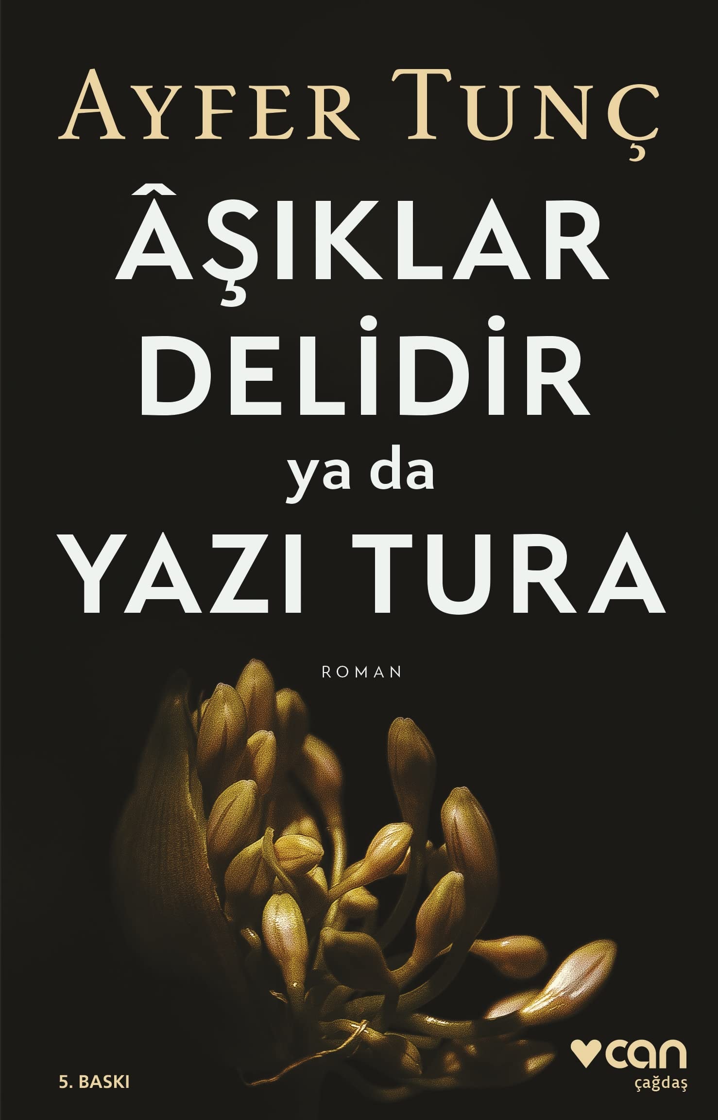 Âşıklar delidir ya da yazı tura