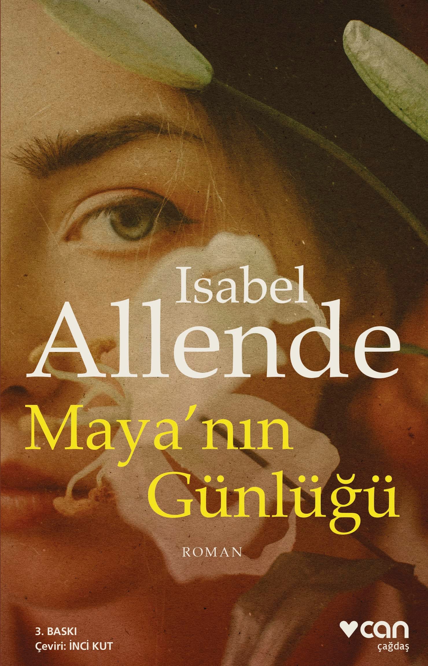 Mayanin Günlügü