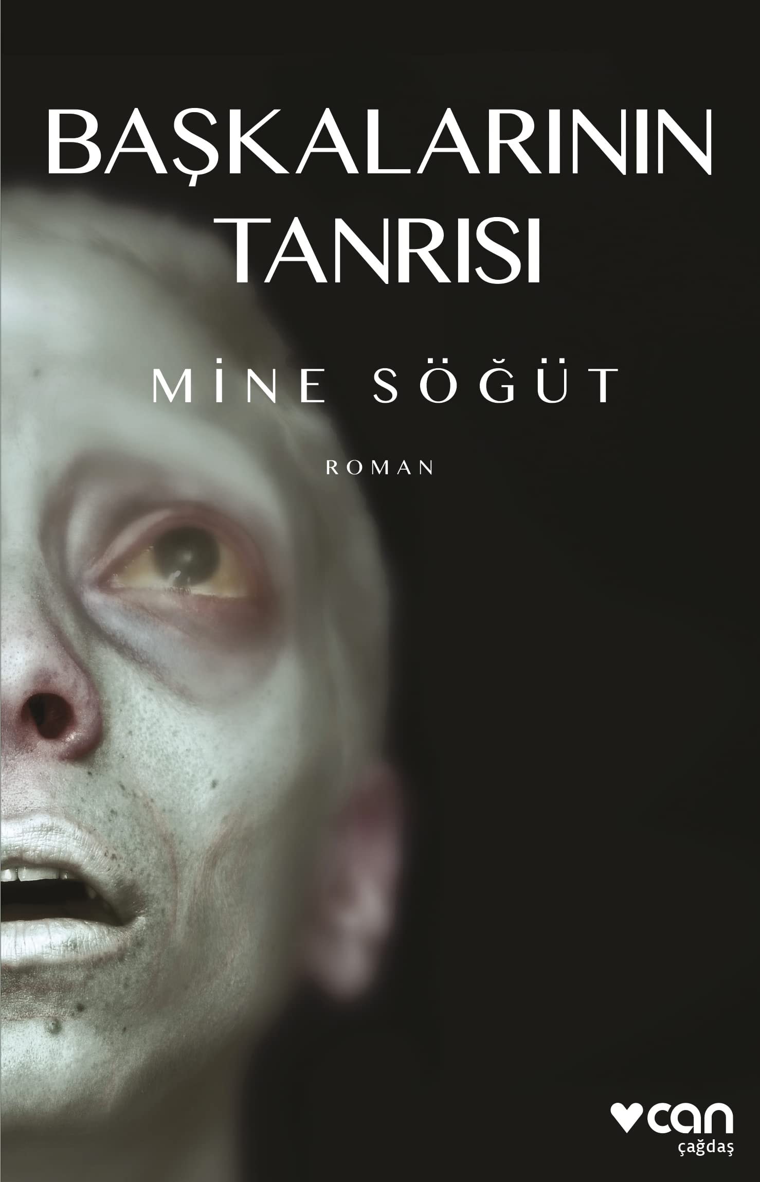 Başkalarının tanrısı roman