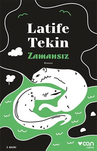Zamansız roman
