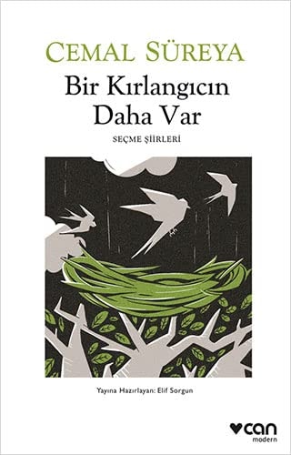 Bir Kirlangicin Daha Var