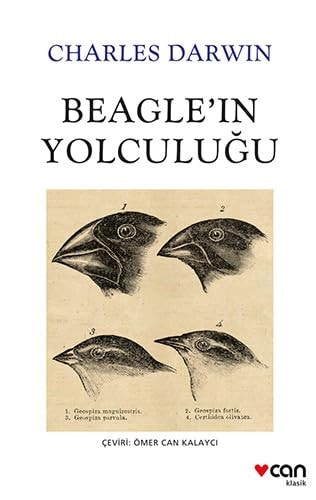 Beaglein Yolculugu