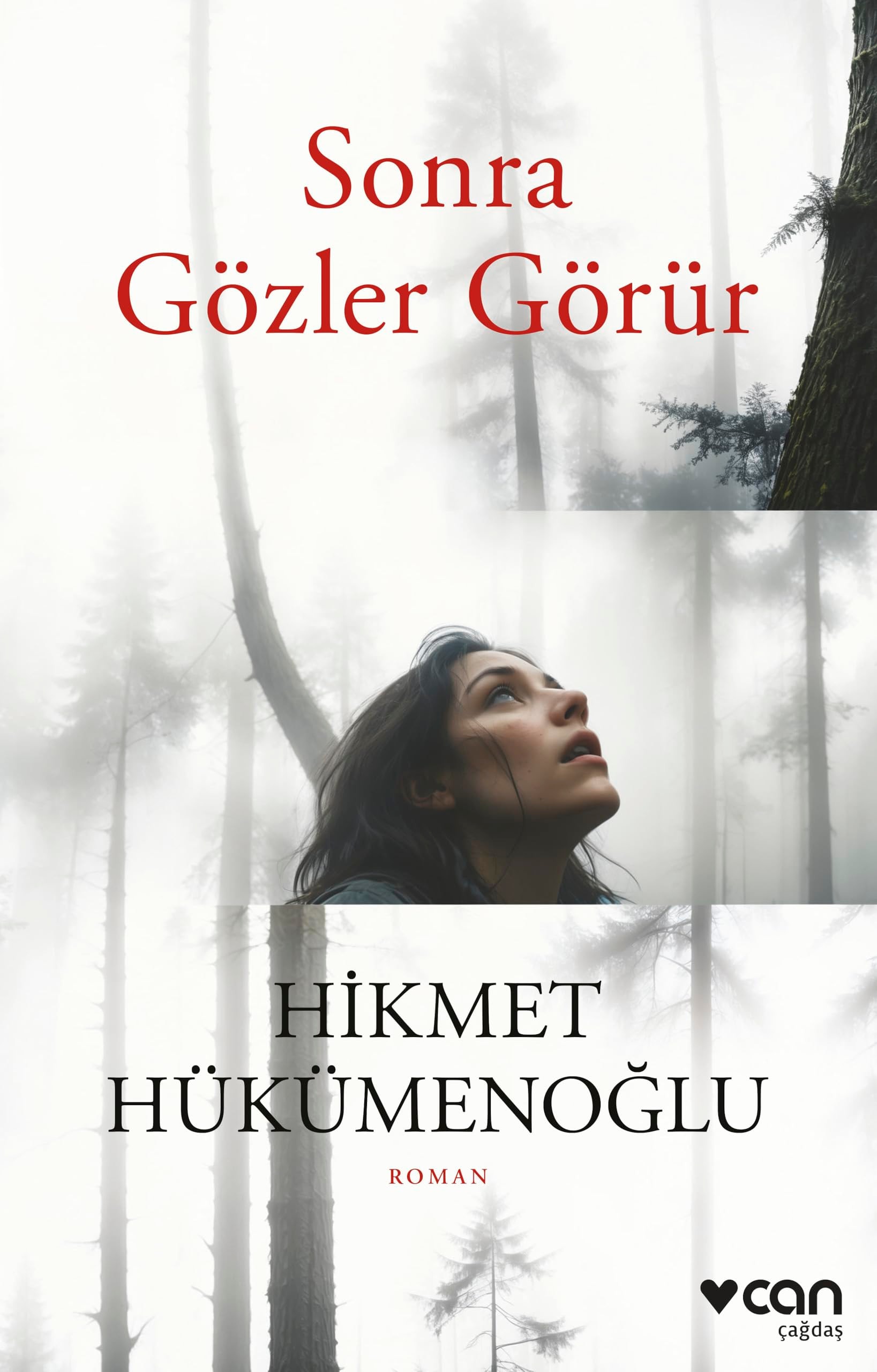 Sonra gözler görür roman