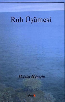 Ruh üşümesi roman