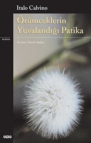 Örümceklerin yuvalandığı patika roman