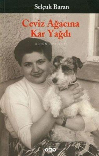 Ceviz ağacına kar yağdı bütün öyküleri