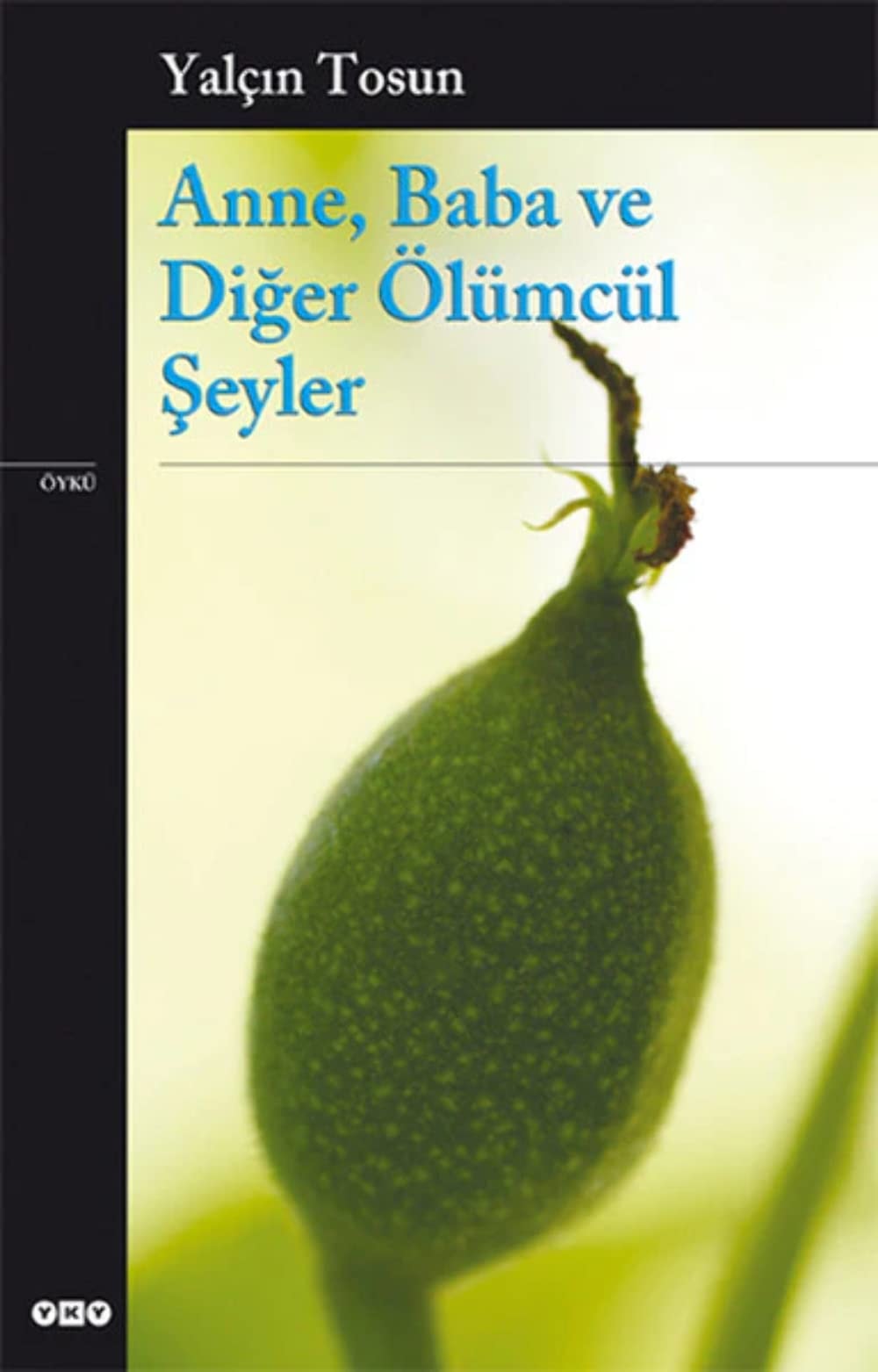 Anne, baba ve diğer ölümcül şeyler öykü
