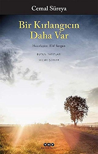 Bir kırlangıcın daha var seçme şiirler