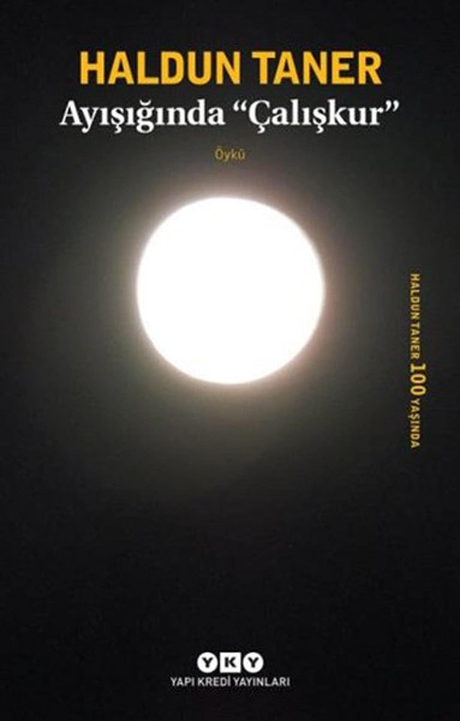 Ayışığında "Çalışkur" öykü