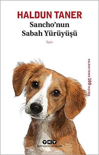 Sancho'nun sabah yürüyüşü öykü