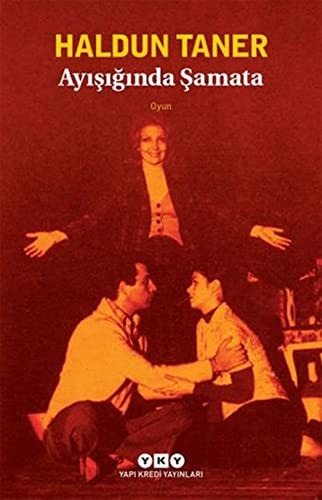 Ayışığında şamata oyun