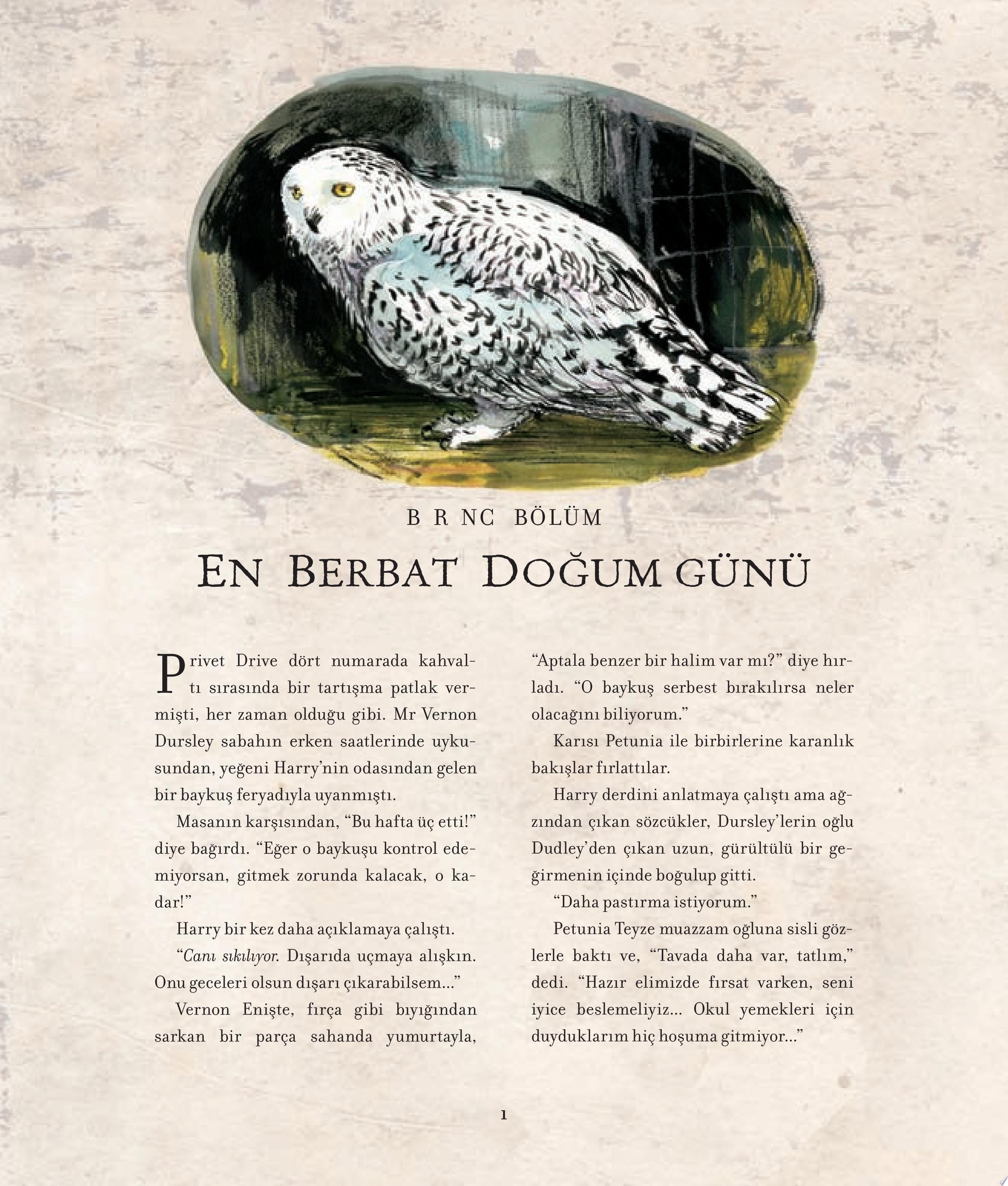 Harry Potter ve Sırlar Odası – 2