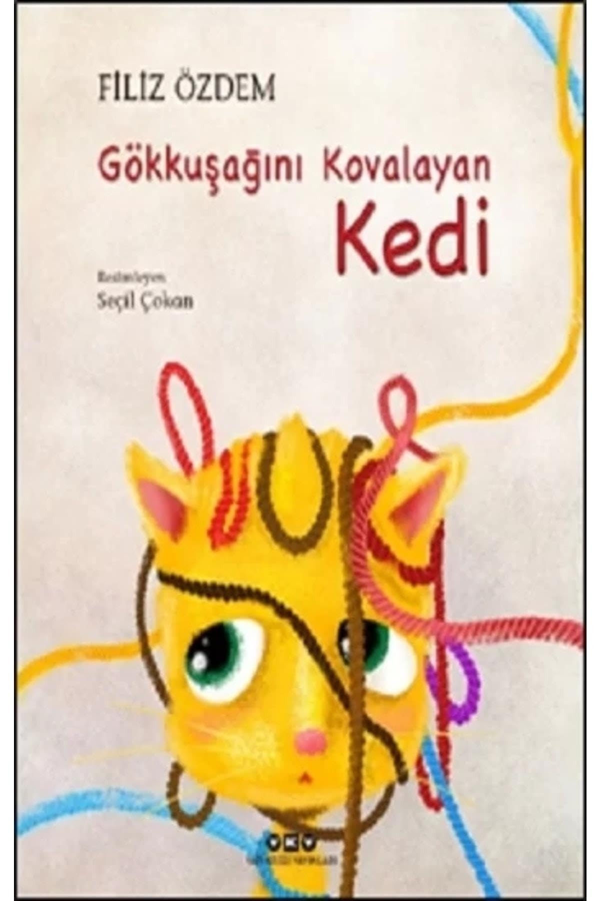 Gökkuşağını kovalayan Kedi