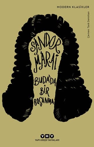 Budada Bir Bosanma