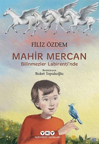 Mahir Mercan - Bilinmezler Labirentinde