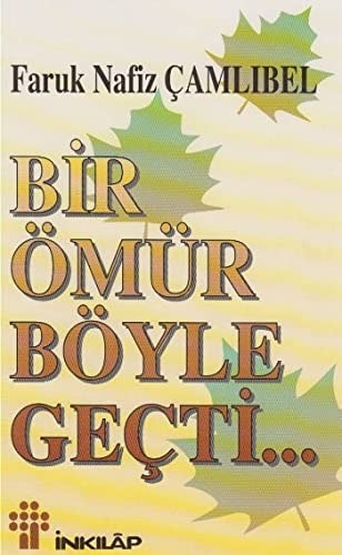 Bir ömür böyle geçti
