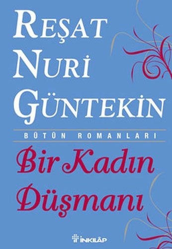Bir kadın düşmanı