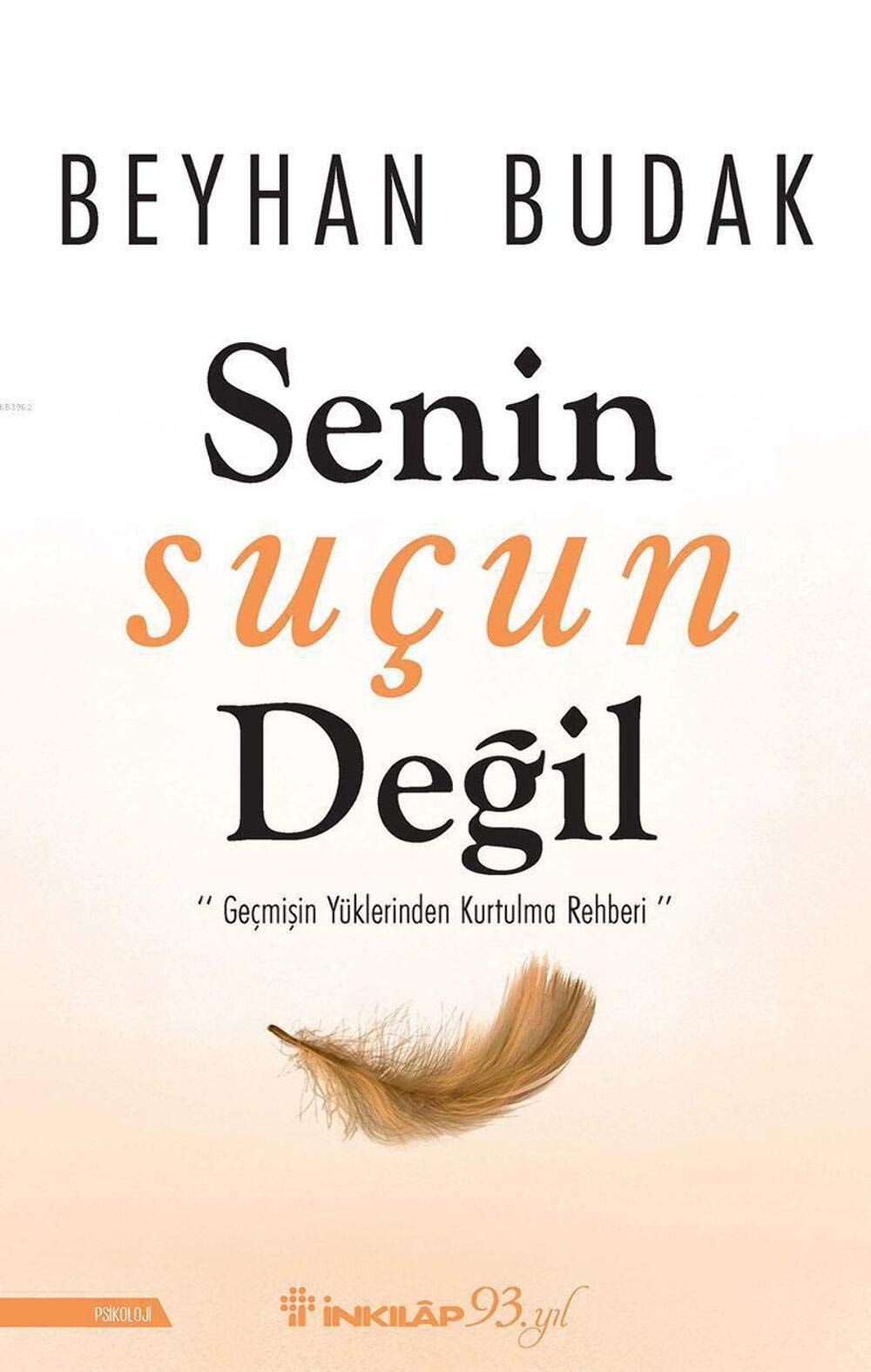 Senin Sucun Degil