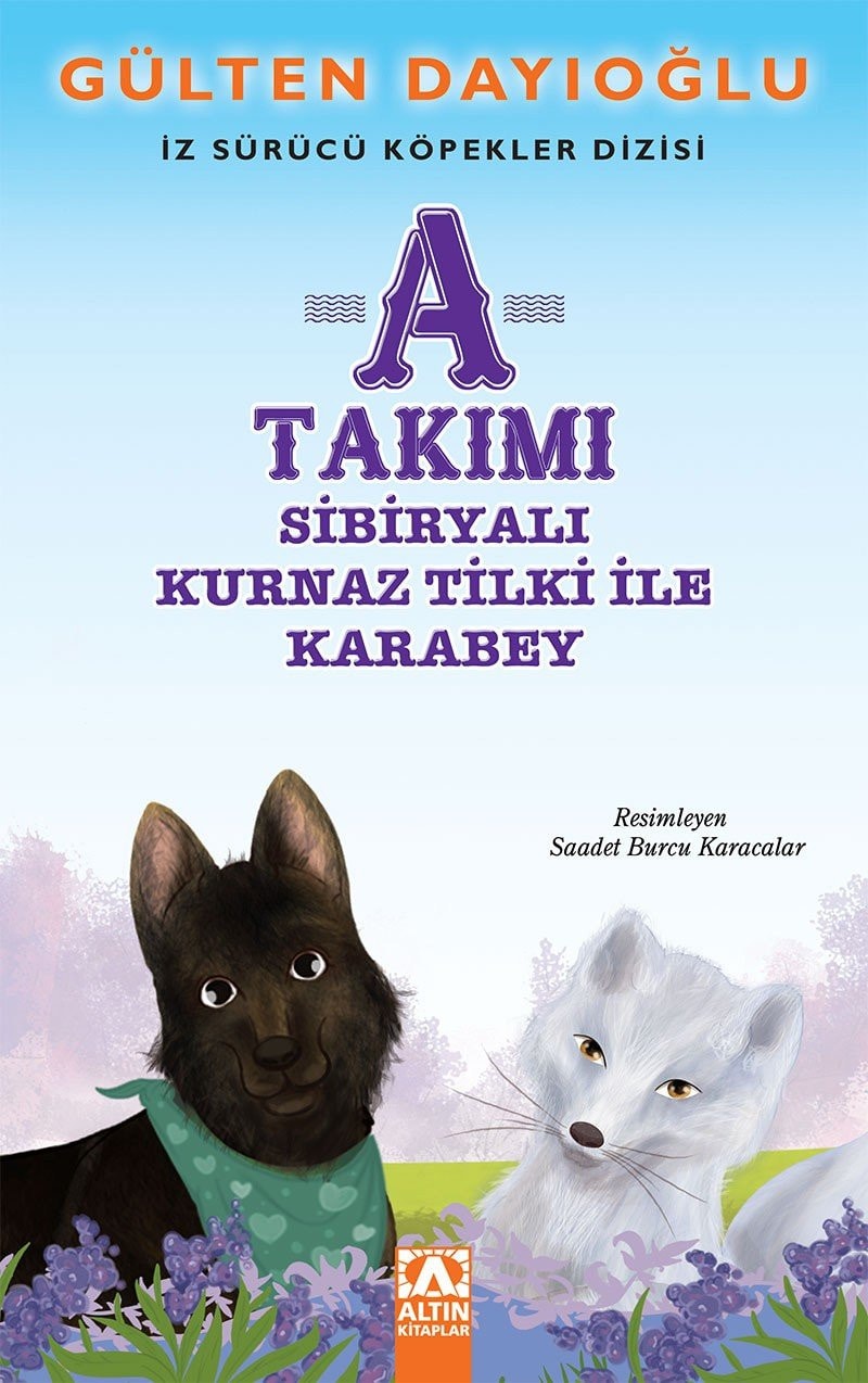 A Takimi Sibiryali Kurnaz Tilki Ile Karabey