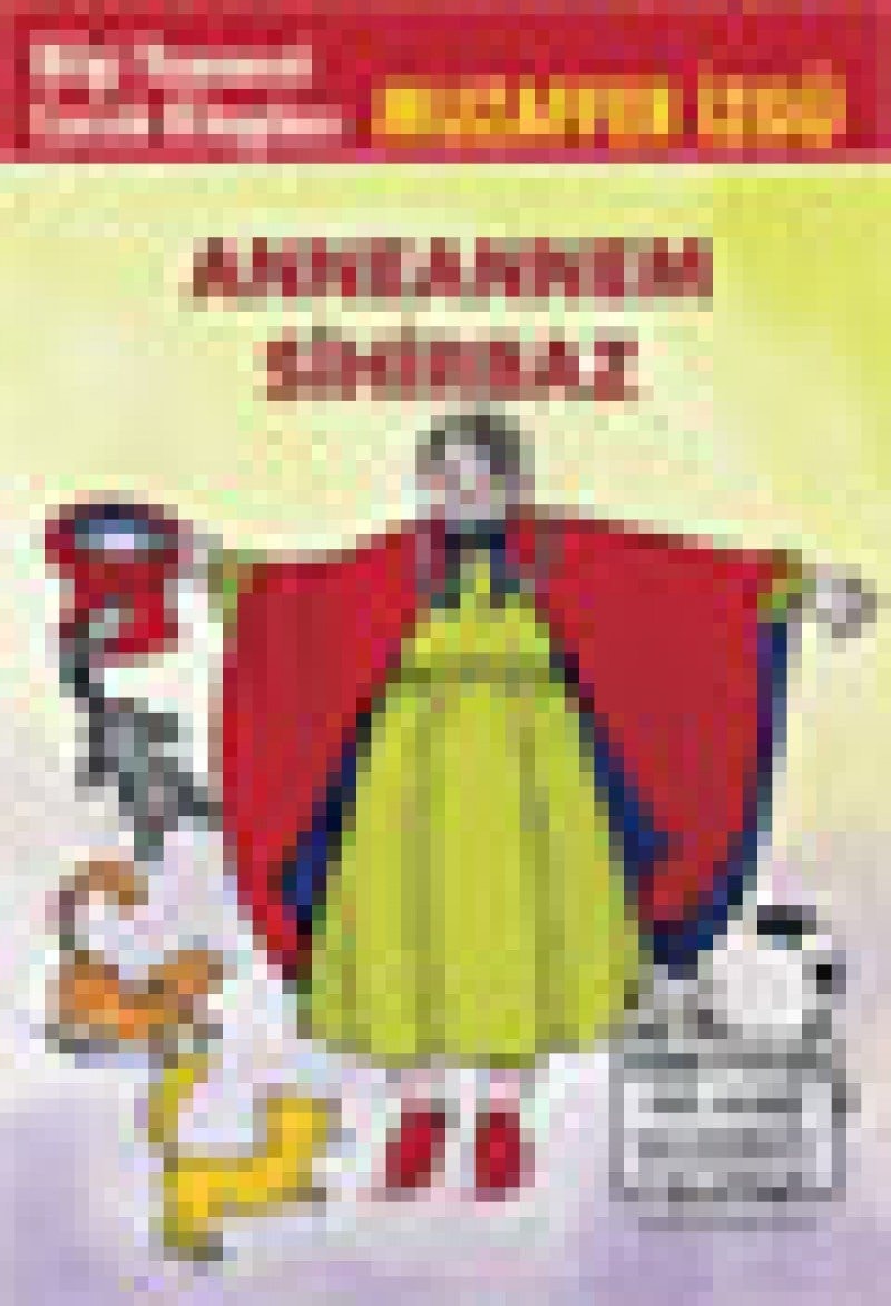 Bir şampiyonluk öyküsü