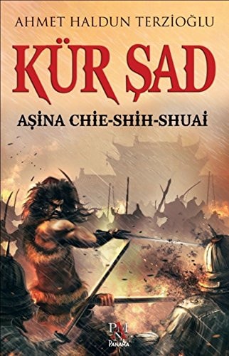 Kür Şad asına Chie-shih-shuai