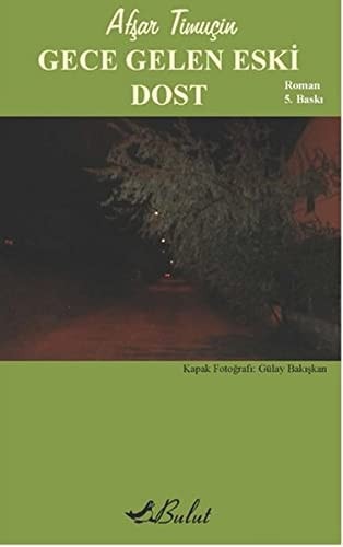 Gece gelen eski dost roman