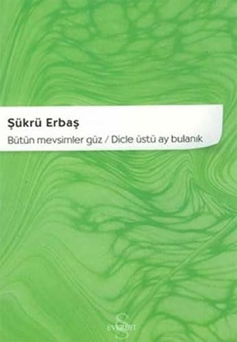Bütün mevsimler güz, Dicle üstü ay bulanık