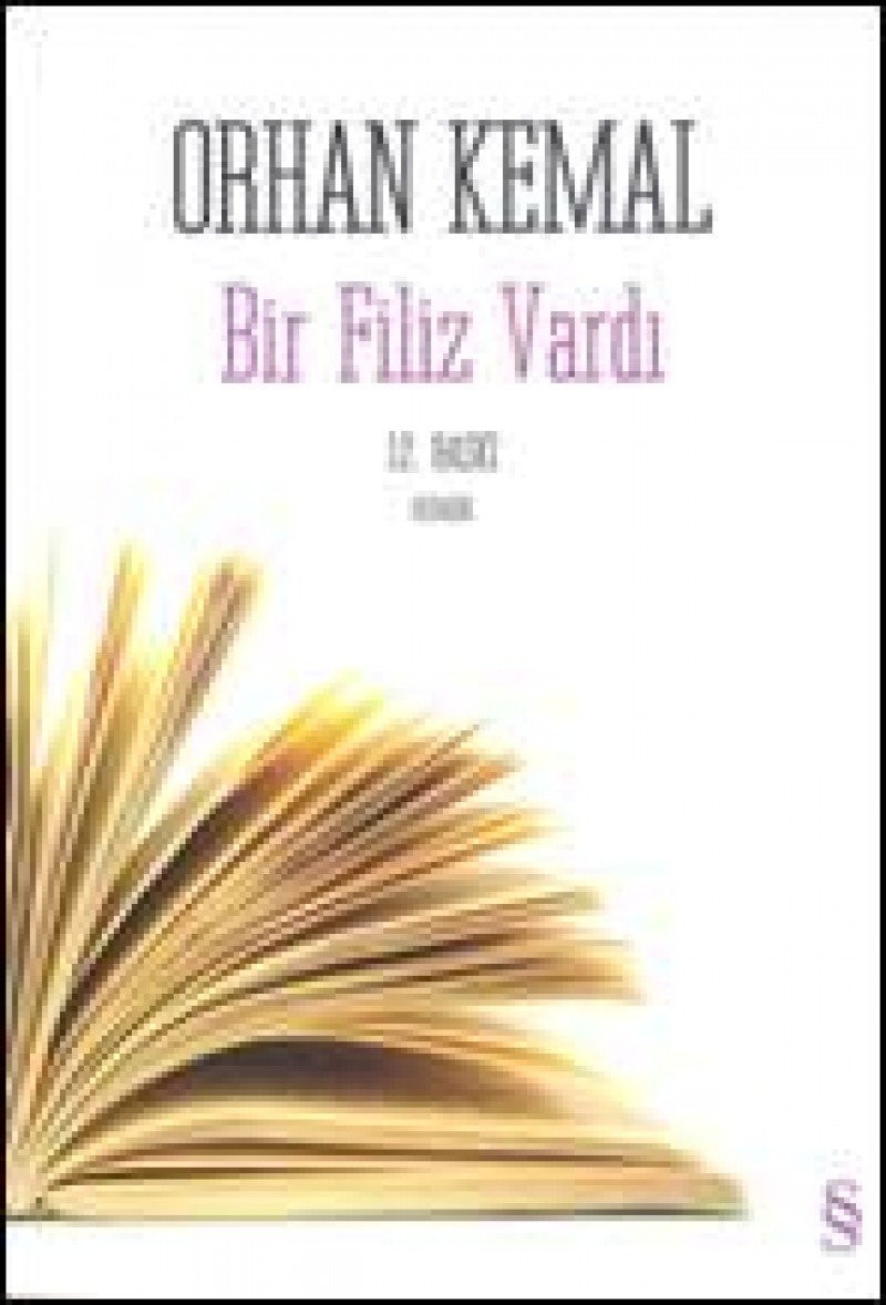 Bir filiz vardı roman