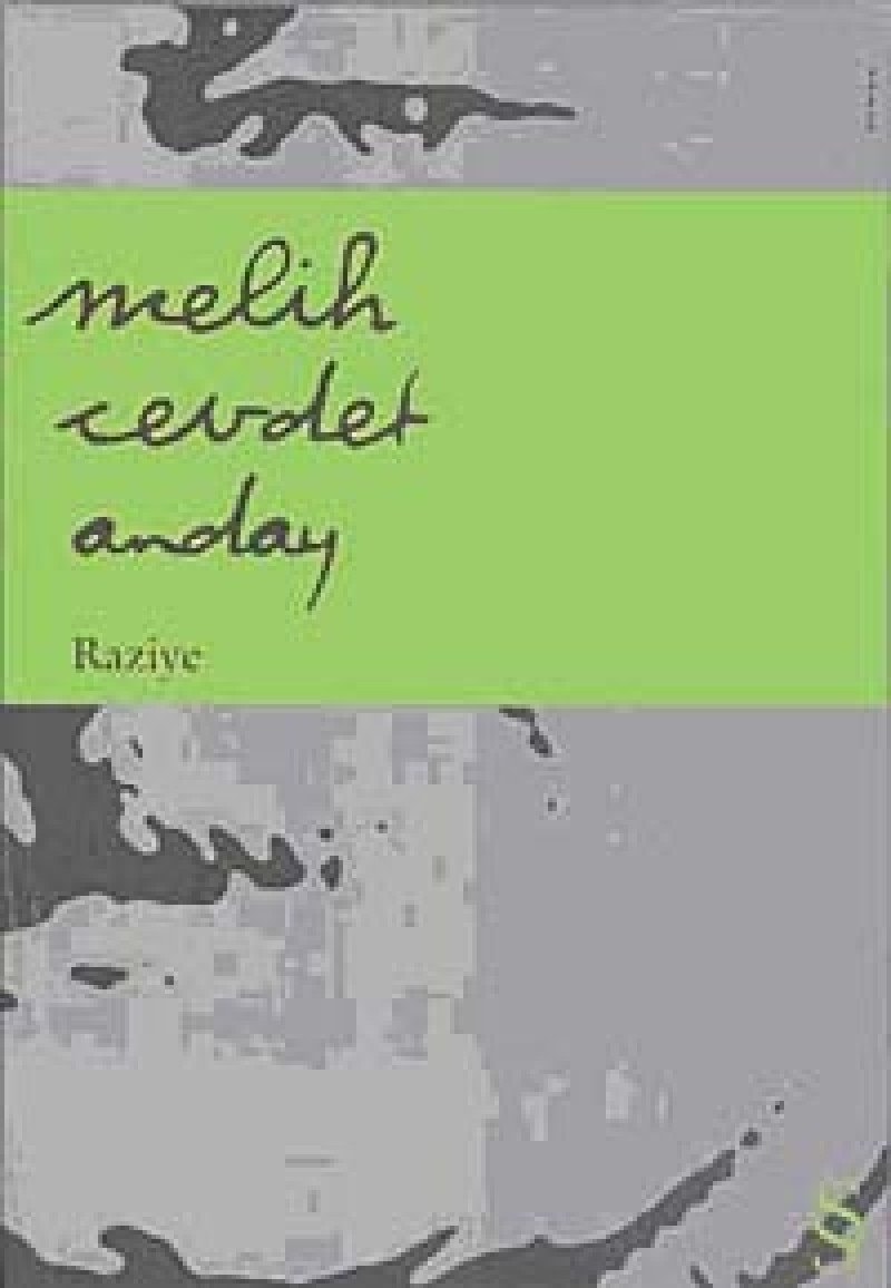 Raziye roman