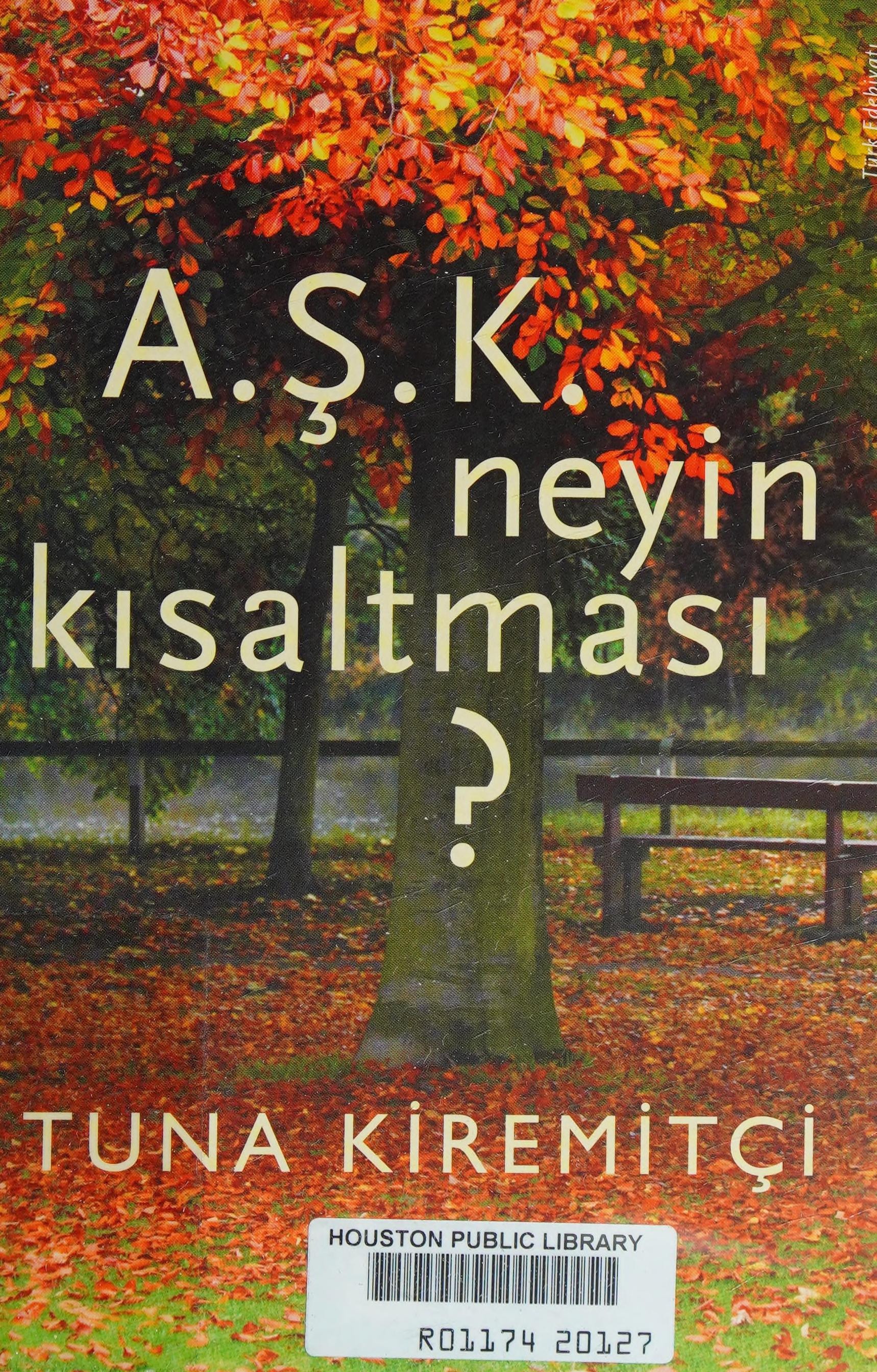 Aşk bize yakıştı