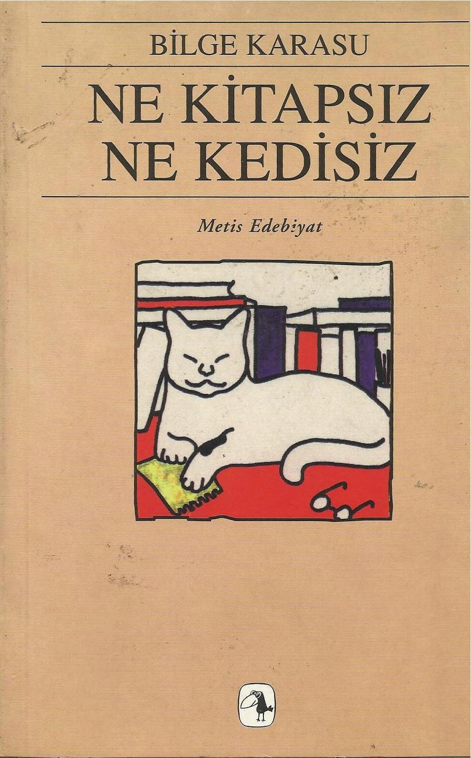 Ne kitapsız ne kedisiz denemeler I