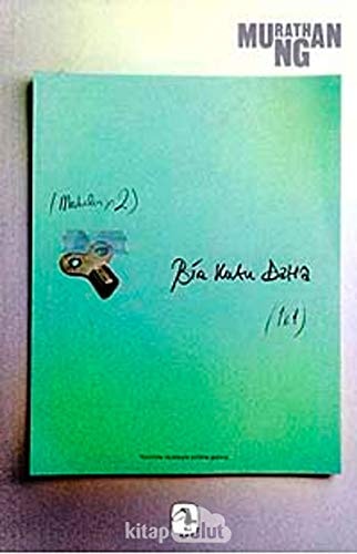 Bir kutu daha