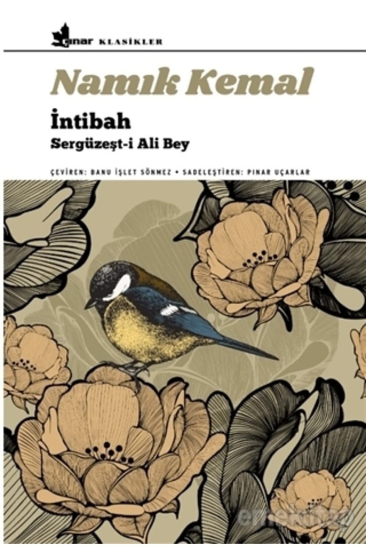 İntibah - sergüzeşt-i Ali Bey