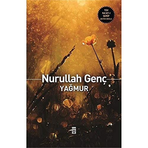 Yağmur seçme şiirler