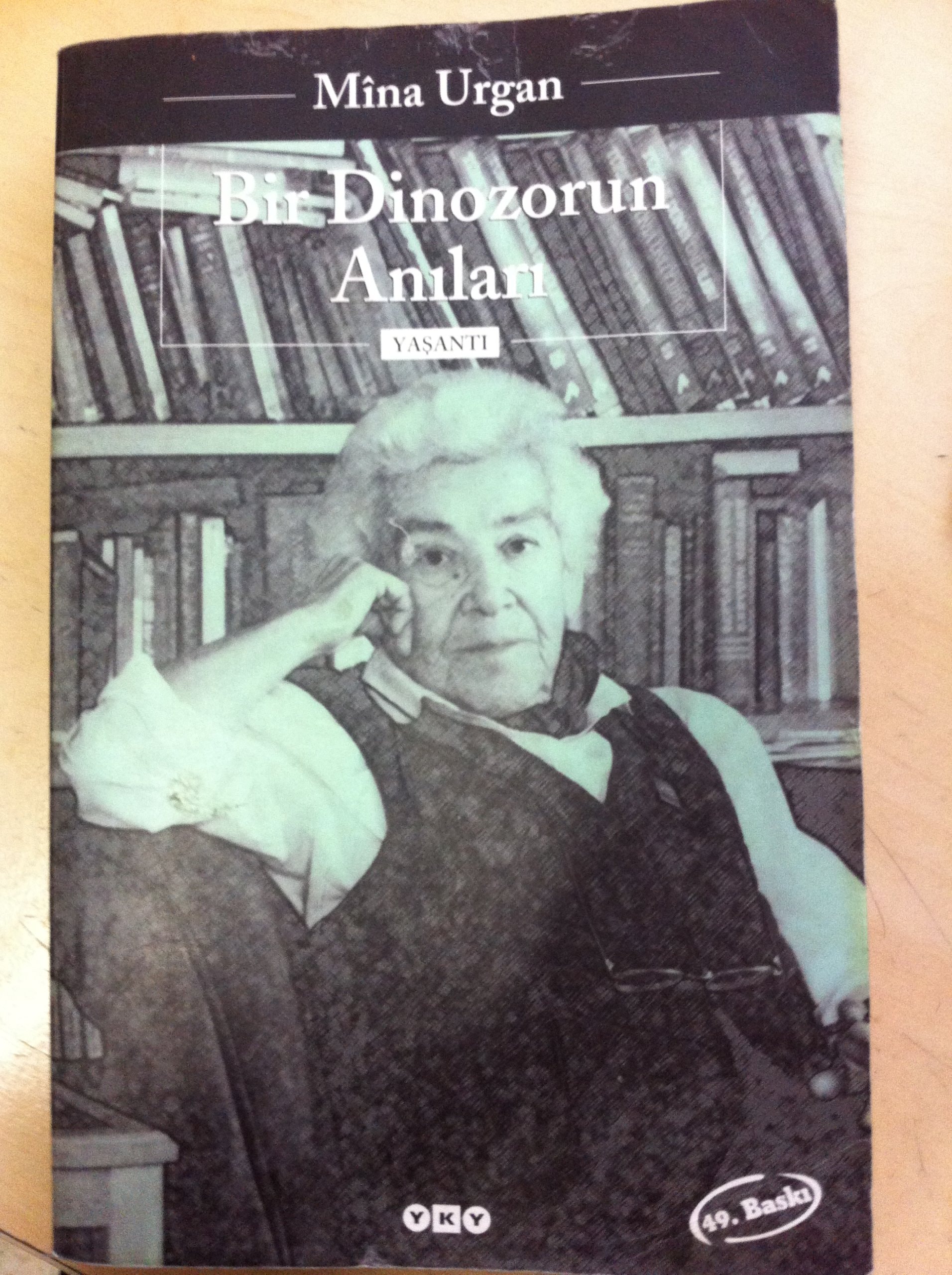 Bir dinozorun anıları: Yaşantı (Edebiyat)