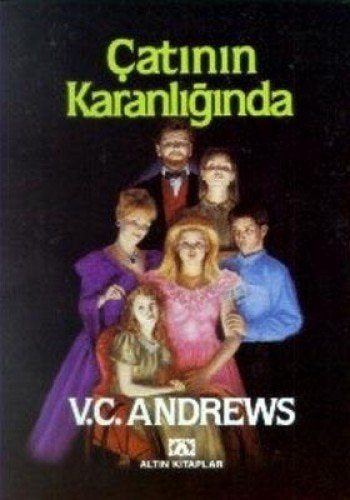 Çatının karanlığında
