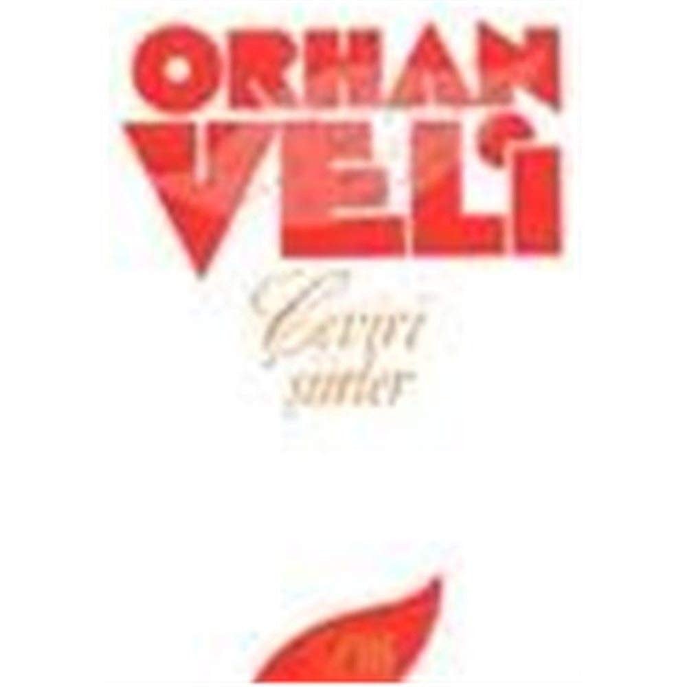 Çeviri şiirler