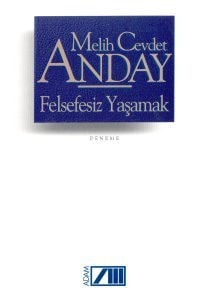 Felsefesiz yaşamak Deneme