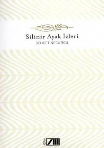 Silinir ayak izleri