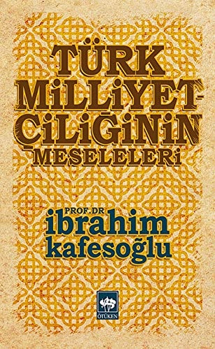 Türk milliyetçiliğinin meseleleri