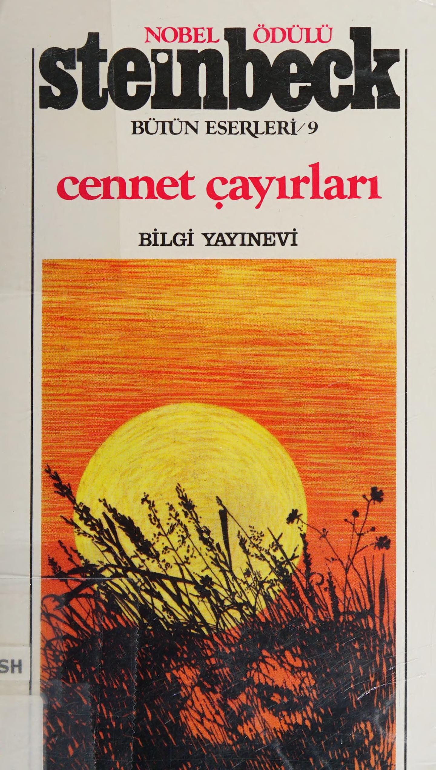 Cennet çayırları
